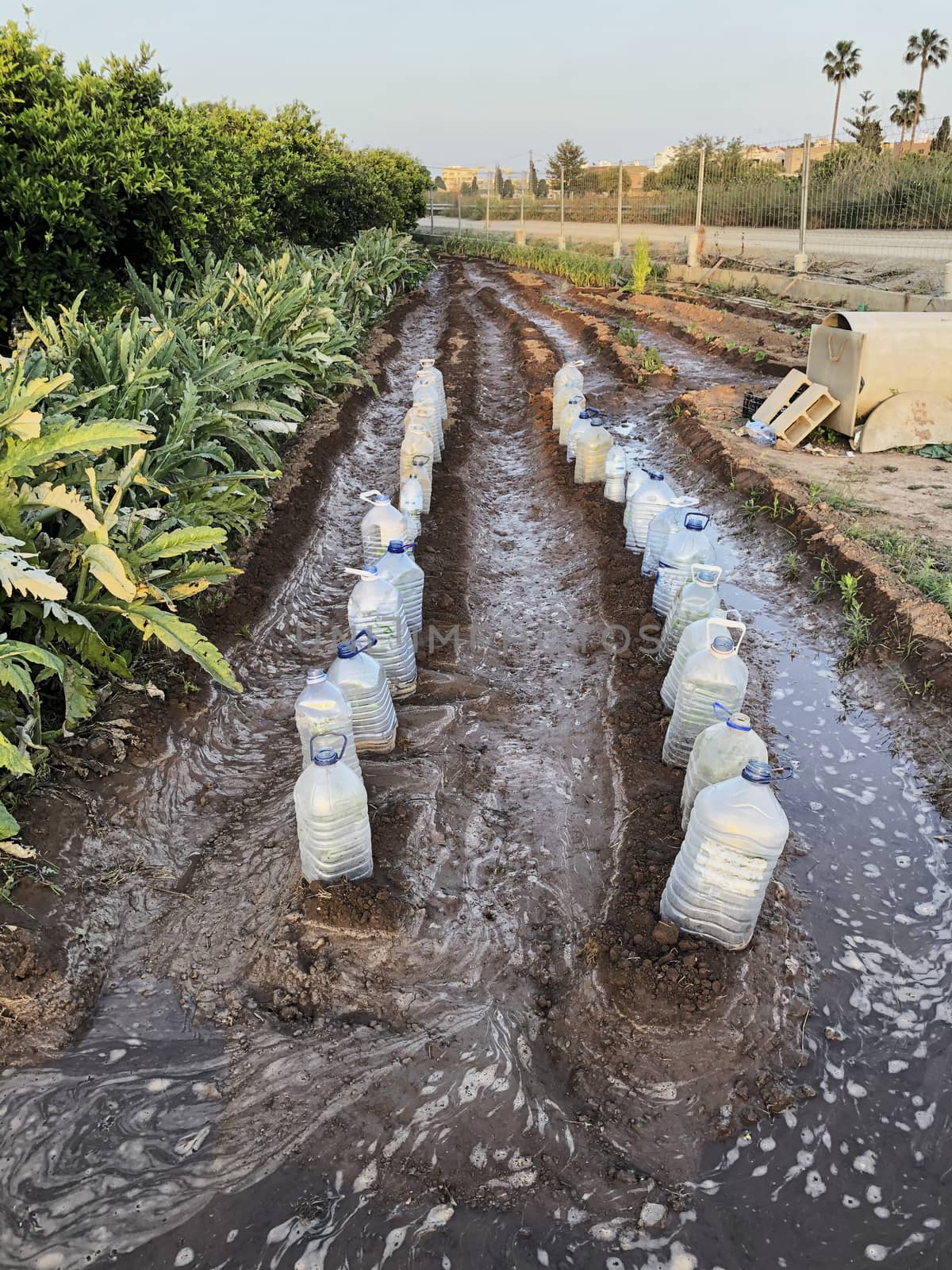 Field sown with plastic bottles, ecology, climate change