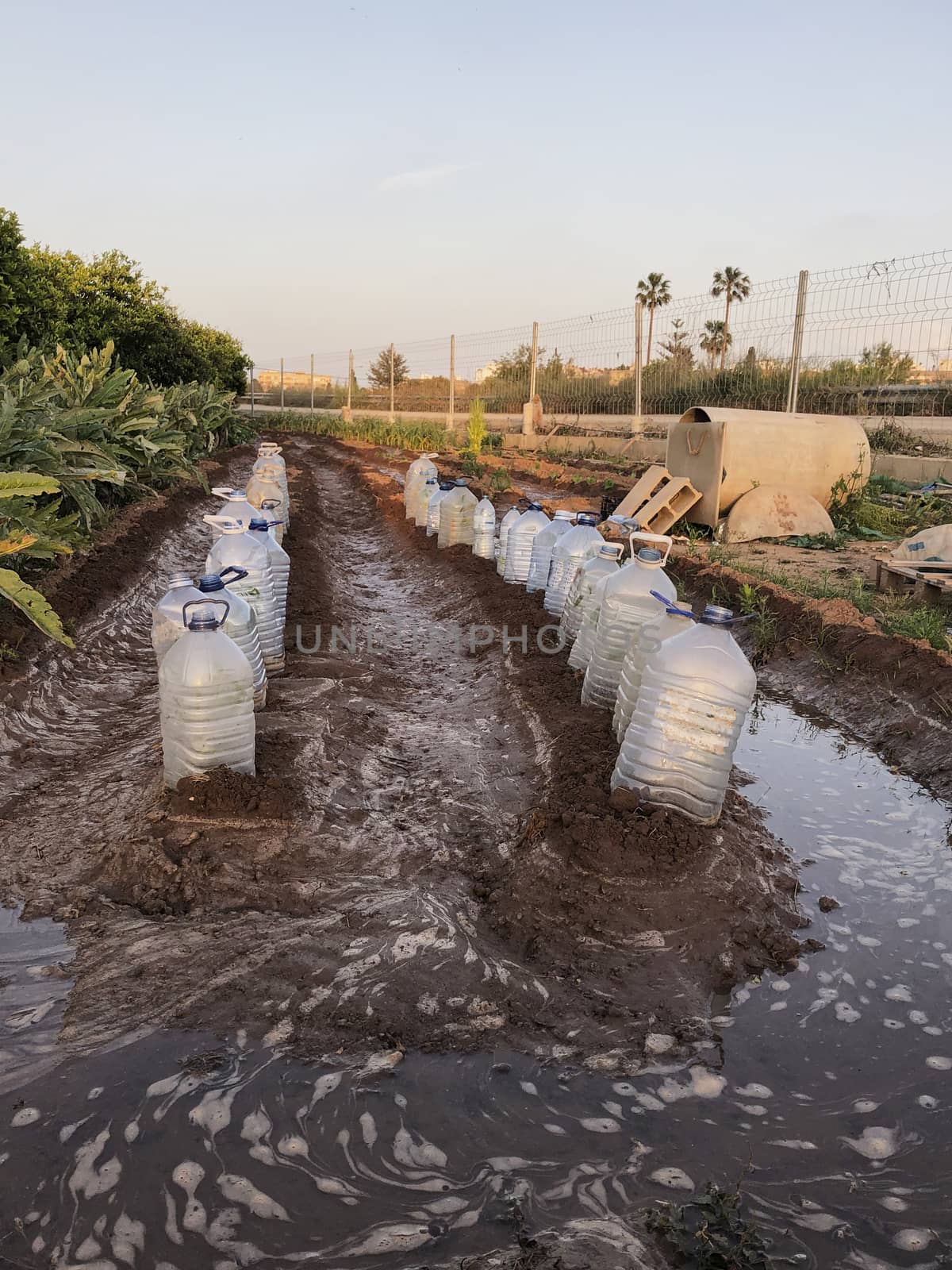 Field sown with plastic bottles, ecology, climate change