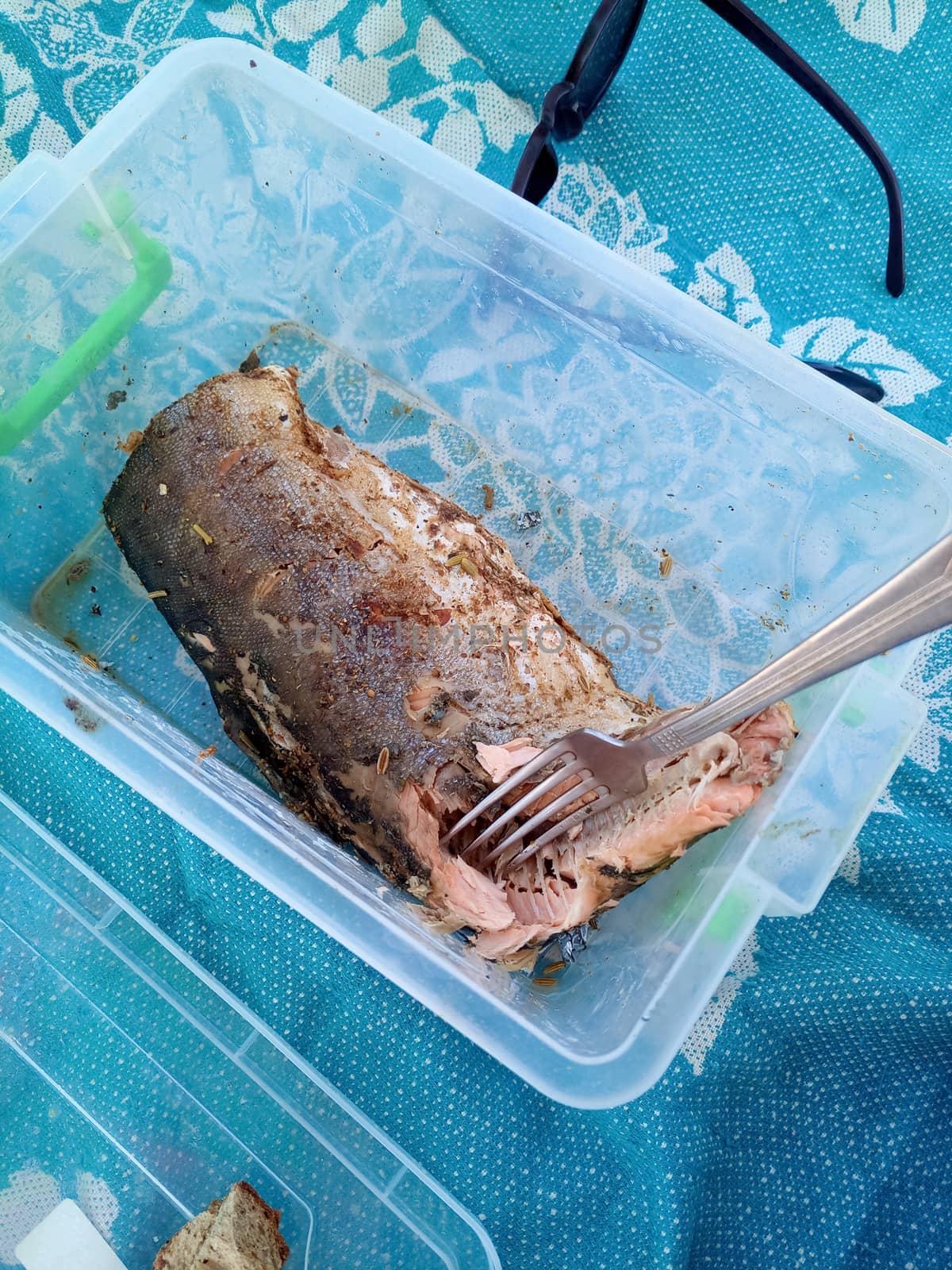 Baked pink salmon in a plastic food container. Eating fish.