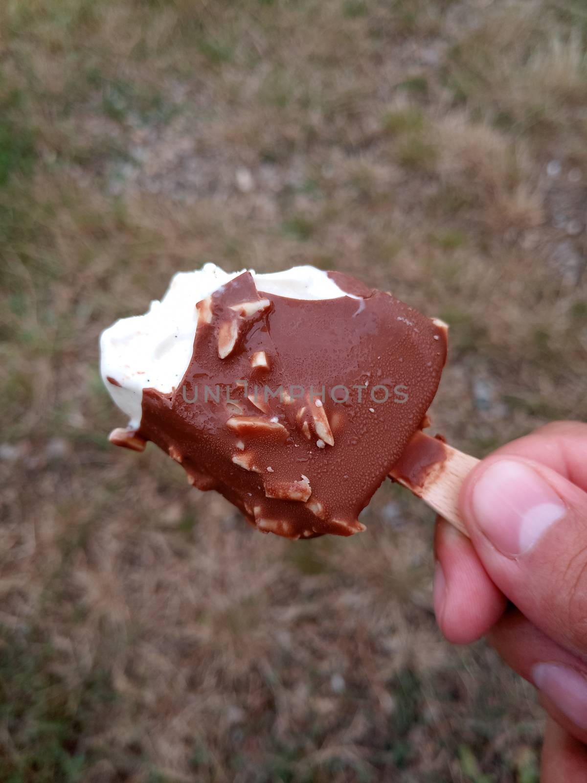Eskimo ice cream with chocolate on a stick. Bitten ice cream.