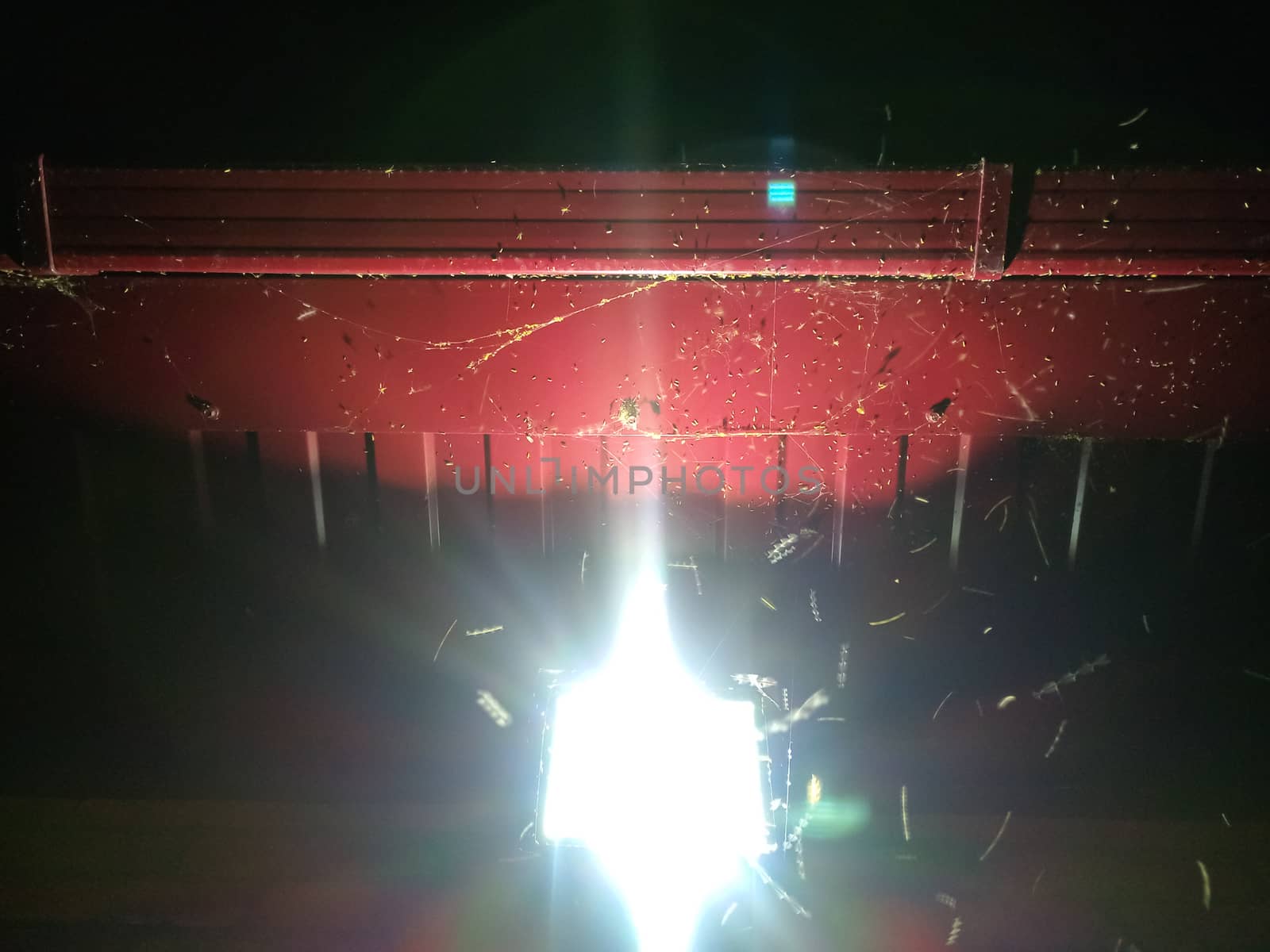 Many small insects and moths flock to the light of a lantern.