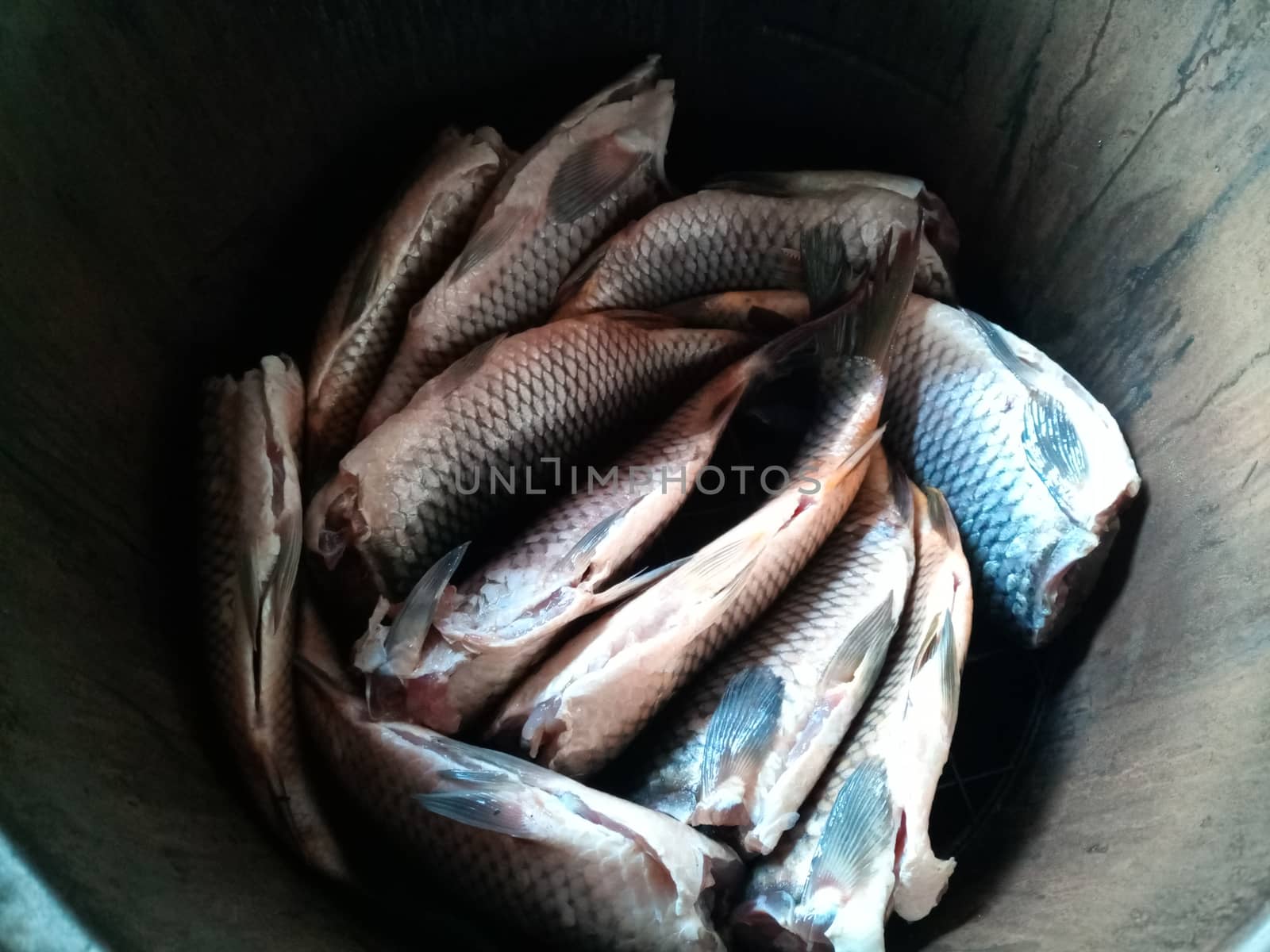 The fish lies in the smokehouse. Preparing fish for smoking.