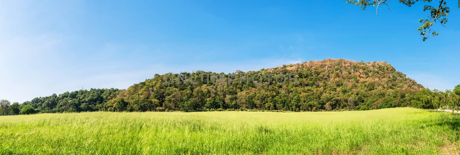 Panorama landscape view of mountain agent blue sky in countryside Thailand