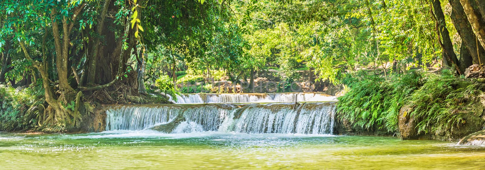 Panorama Waterfall in forest on the mountain in tropical forest by stoonn