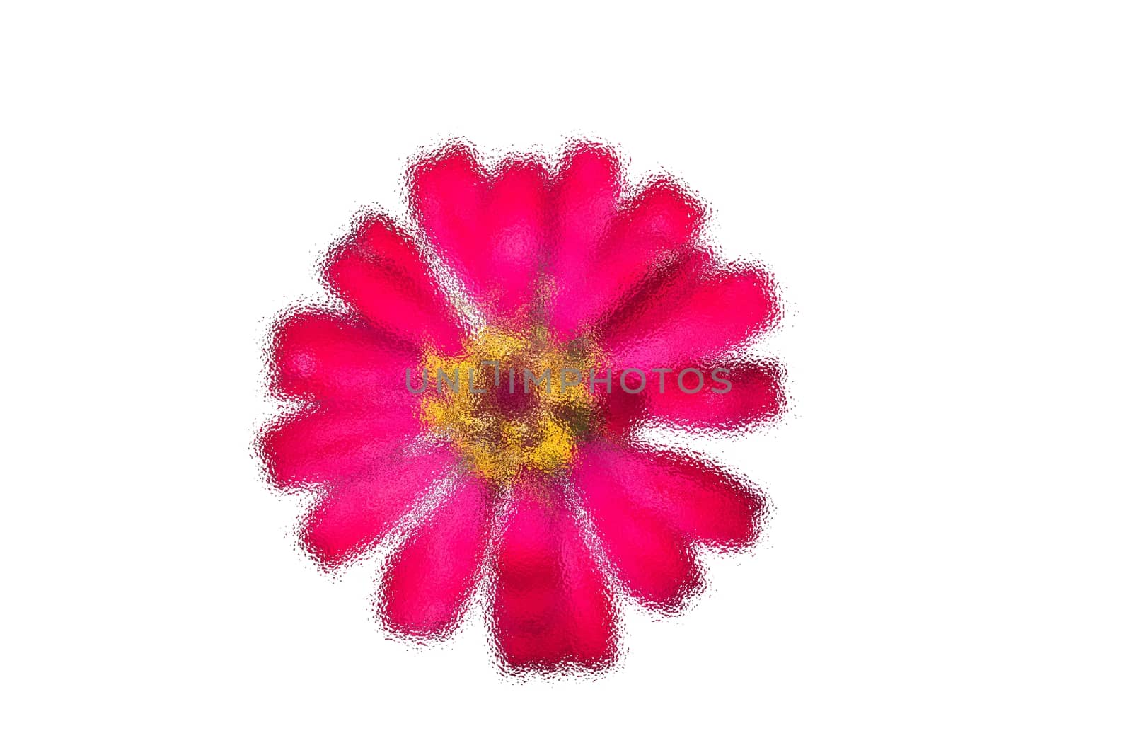 Abstract frosted glass image on Beautiful Pink flower of zinnia isolated on white background. by peerapixs