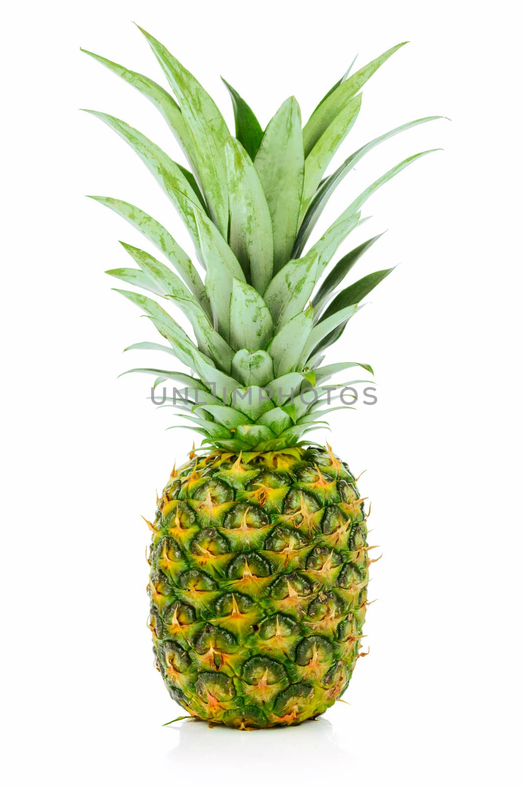 Big whole pineapple fruit by wdnet_studio