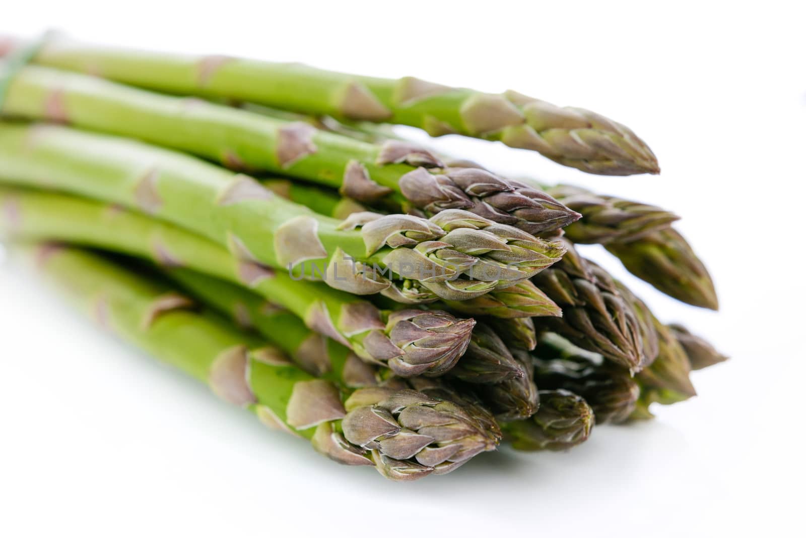 Bundle of fresh and green asparagus isolated on white background in close-up