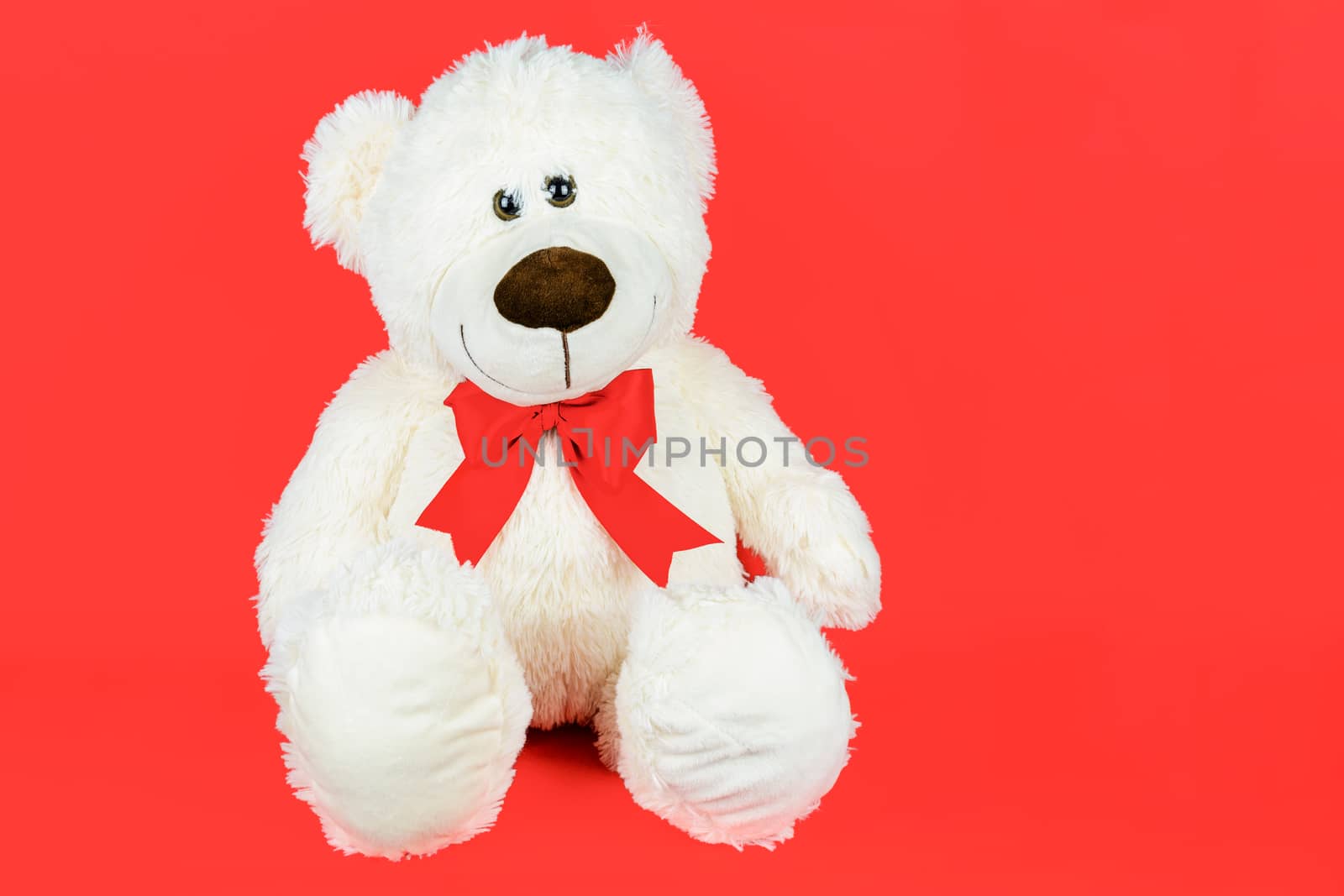 Greetings card concept - white teddy bear with a bow isolated on a red background (copy space)