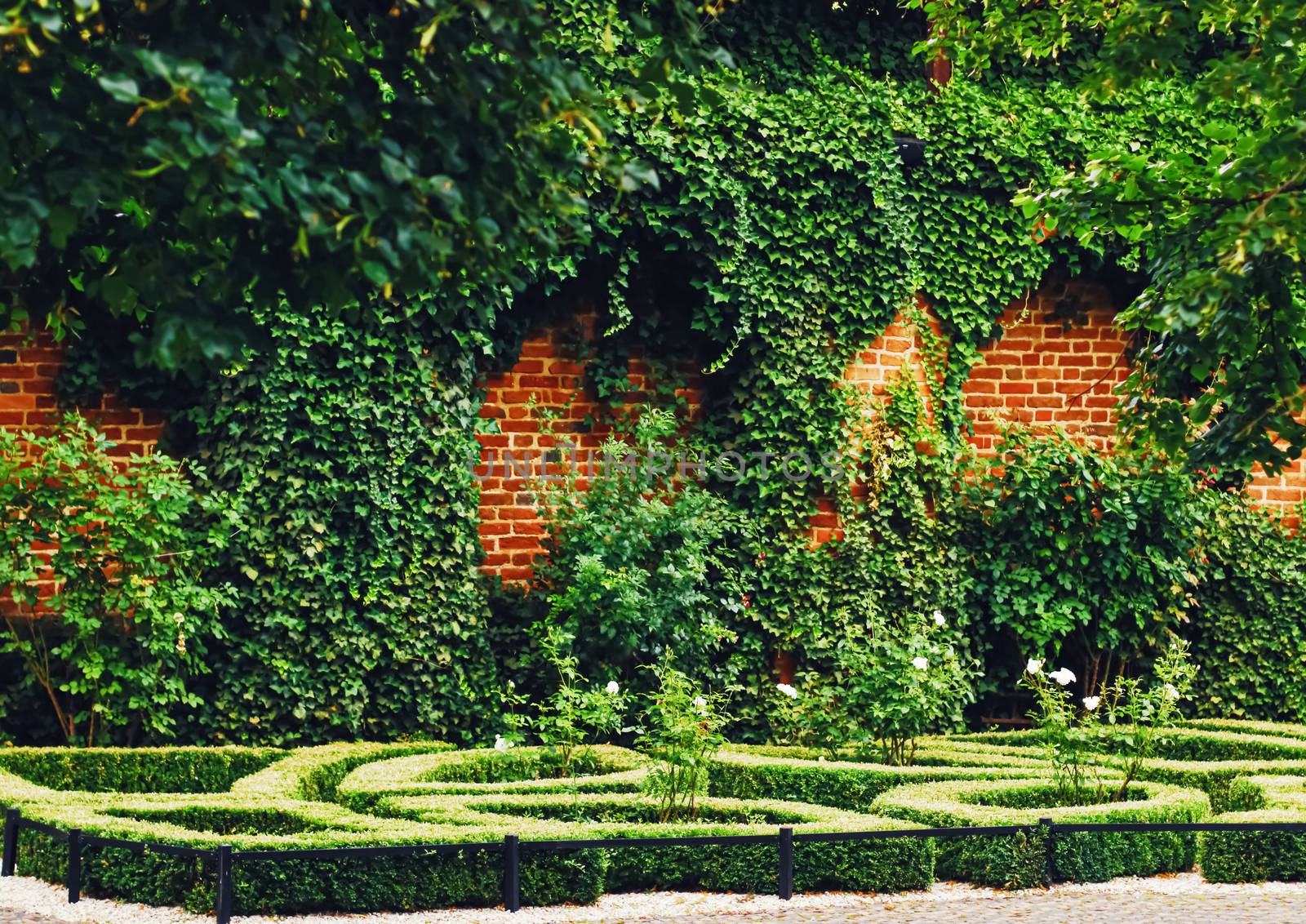 Green garden and landscape design in the city park, nature and outdoors