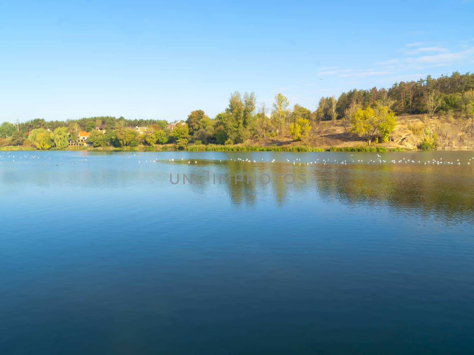 Sunny autumn morning, water, forest and blue sky