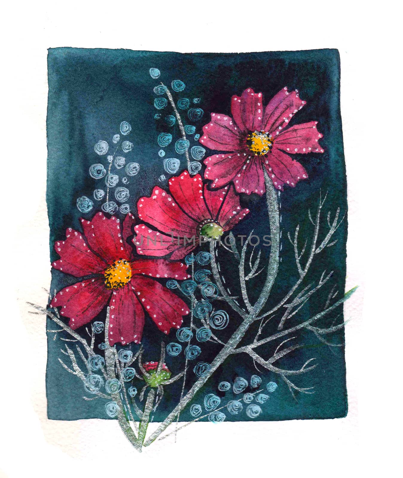 Cosmos Flowers Arrangement with Petals Background Design. Floral design on dark background. Watercolor design.