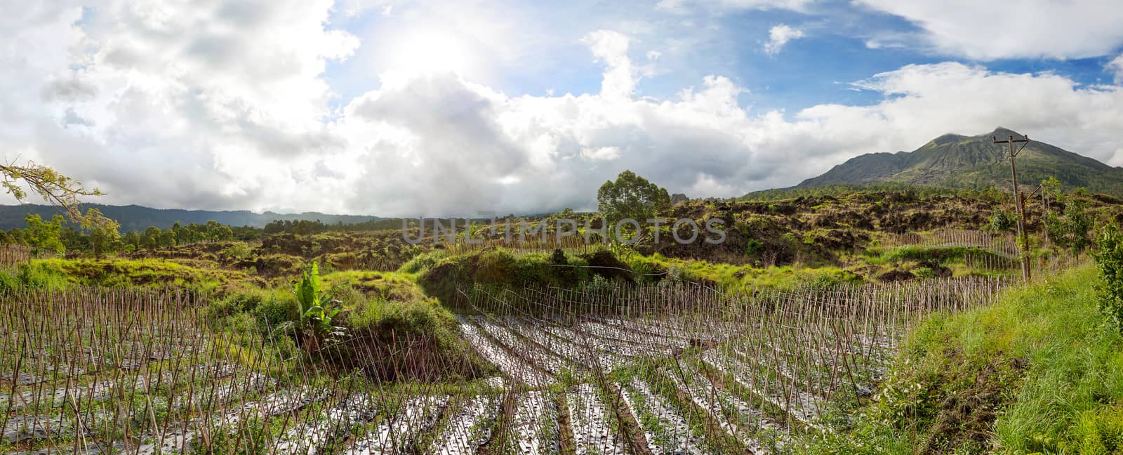 Large panorama view on agricultural fields near Batur volcano, Kintamani. Winter rainy and cloudy season. Bali, Indonesia.