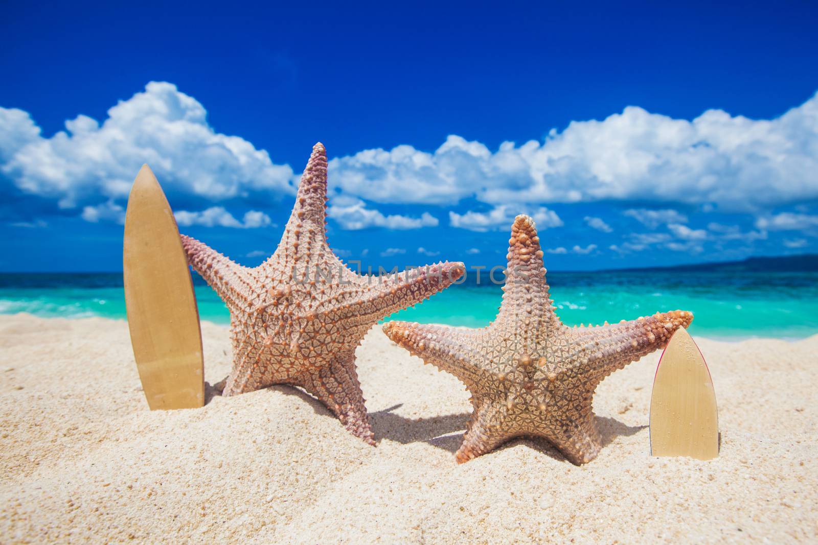 Two starfish surfers on sand of tropical beach at Philippines