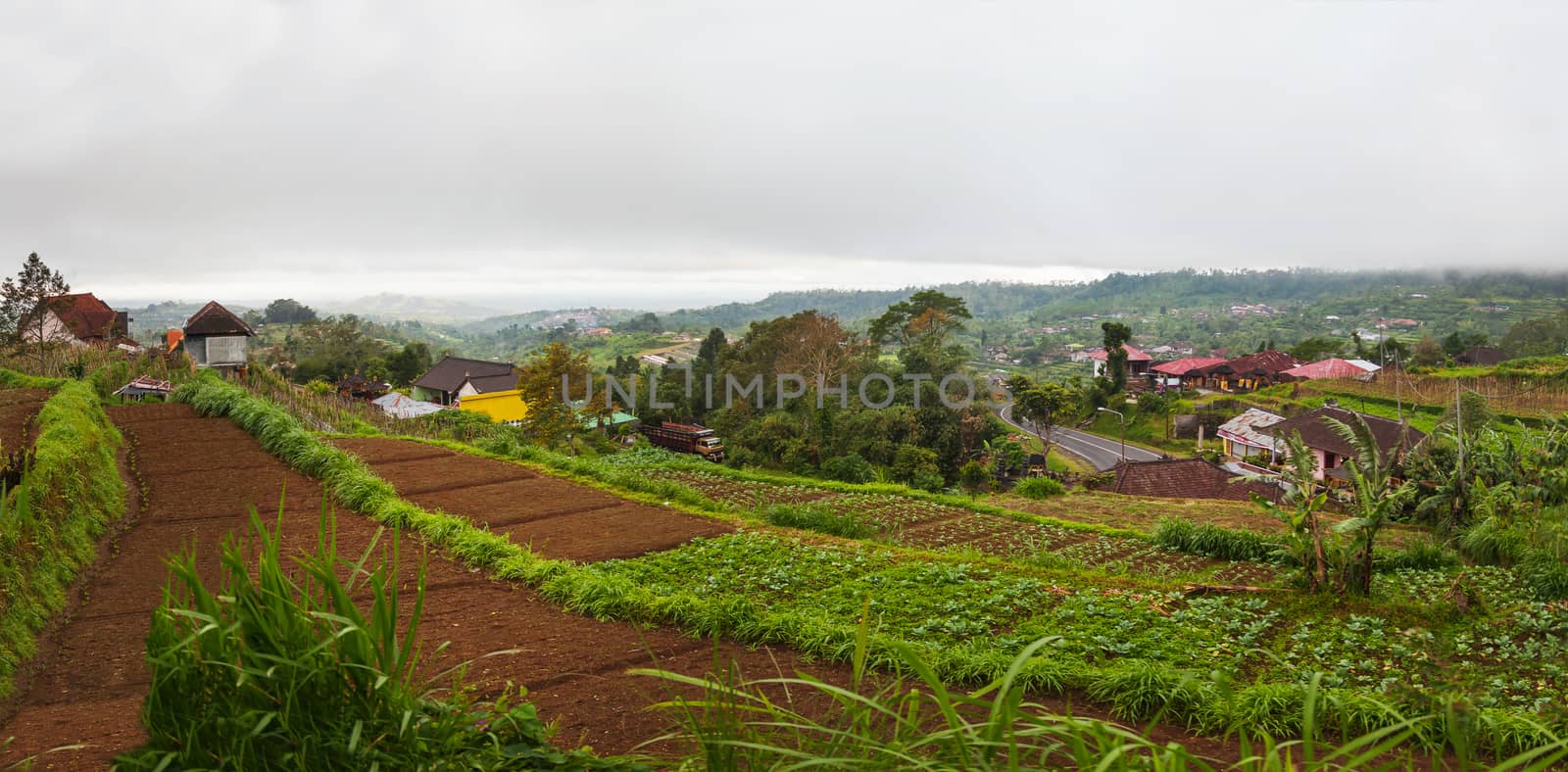 Large panorama view on agricultural fields near Batur volcano, Kintamani. Winter rainy and cloudy season. Bali, Indonesia. by aksenovko