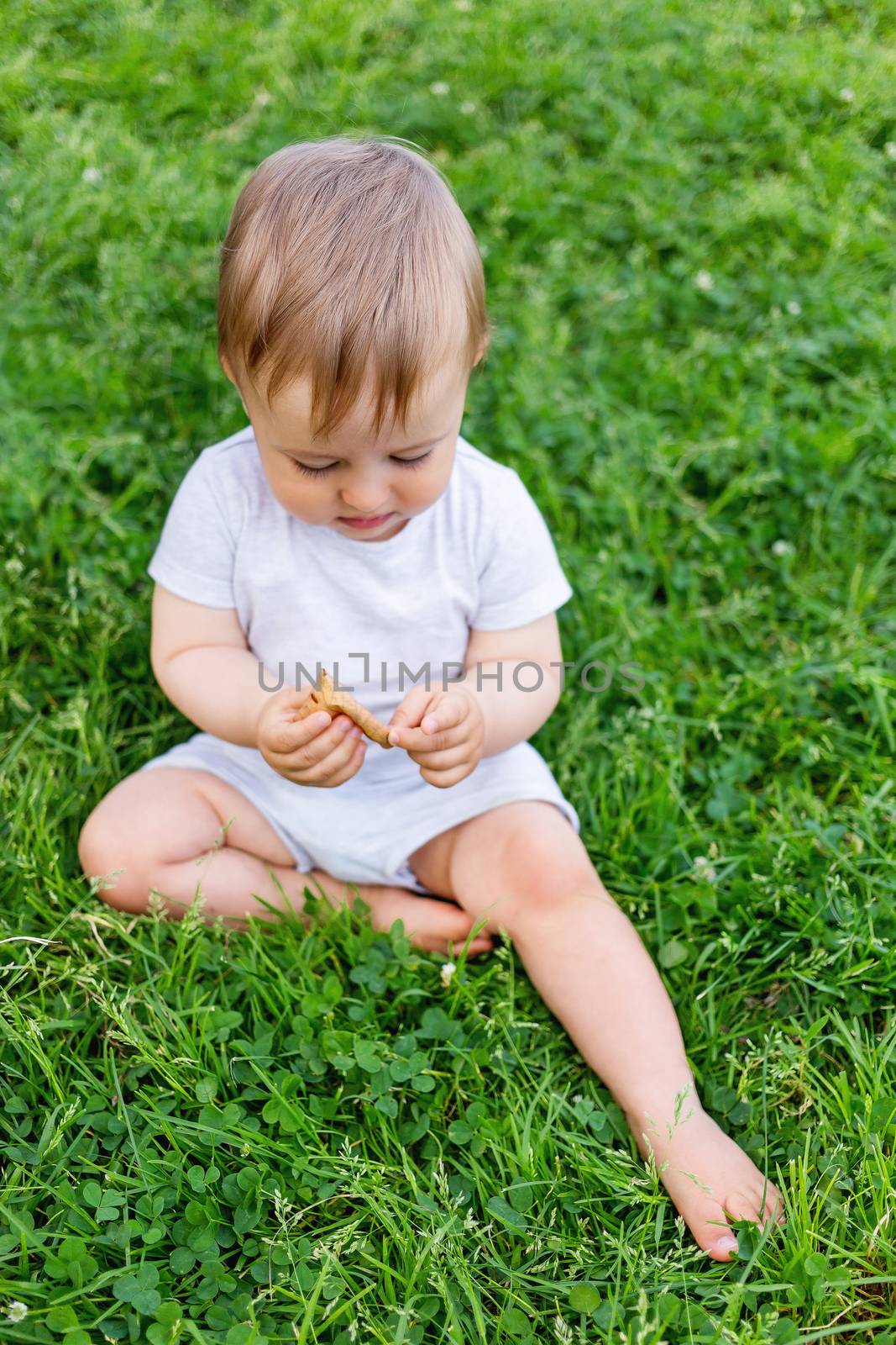 Little baby sitting on grass. Kid is staring on fallen leaf. Outdoor activity for kid. Natural background with child on summer lawn with fresh grass.