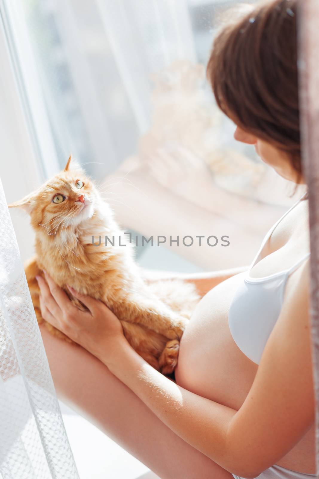 Pregnant woman in white underwear with cute ginger cat. Young woman expecting a baby. Risk of infection toxoplasmosis.