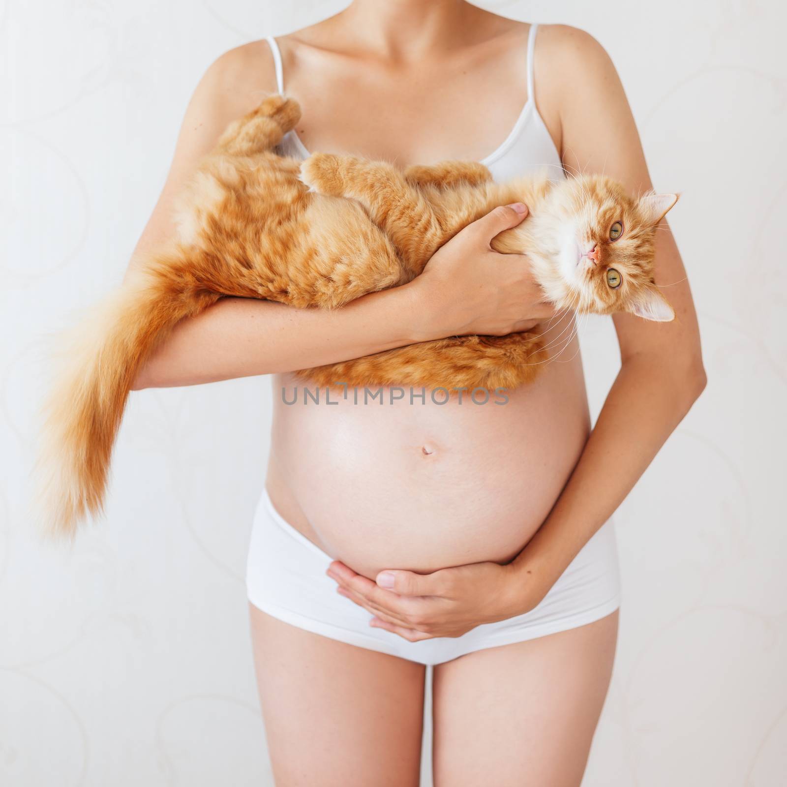 Pregnant woman in white underwear with cute ginger cat. Young woman expecting a baby. Risk of infection toxoplasmosis.