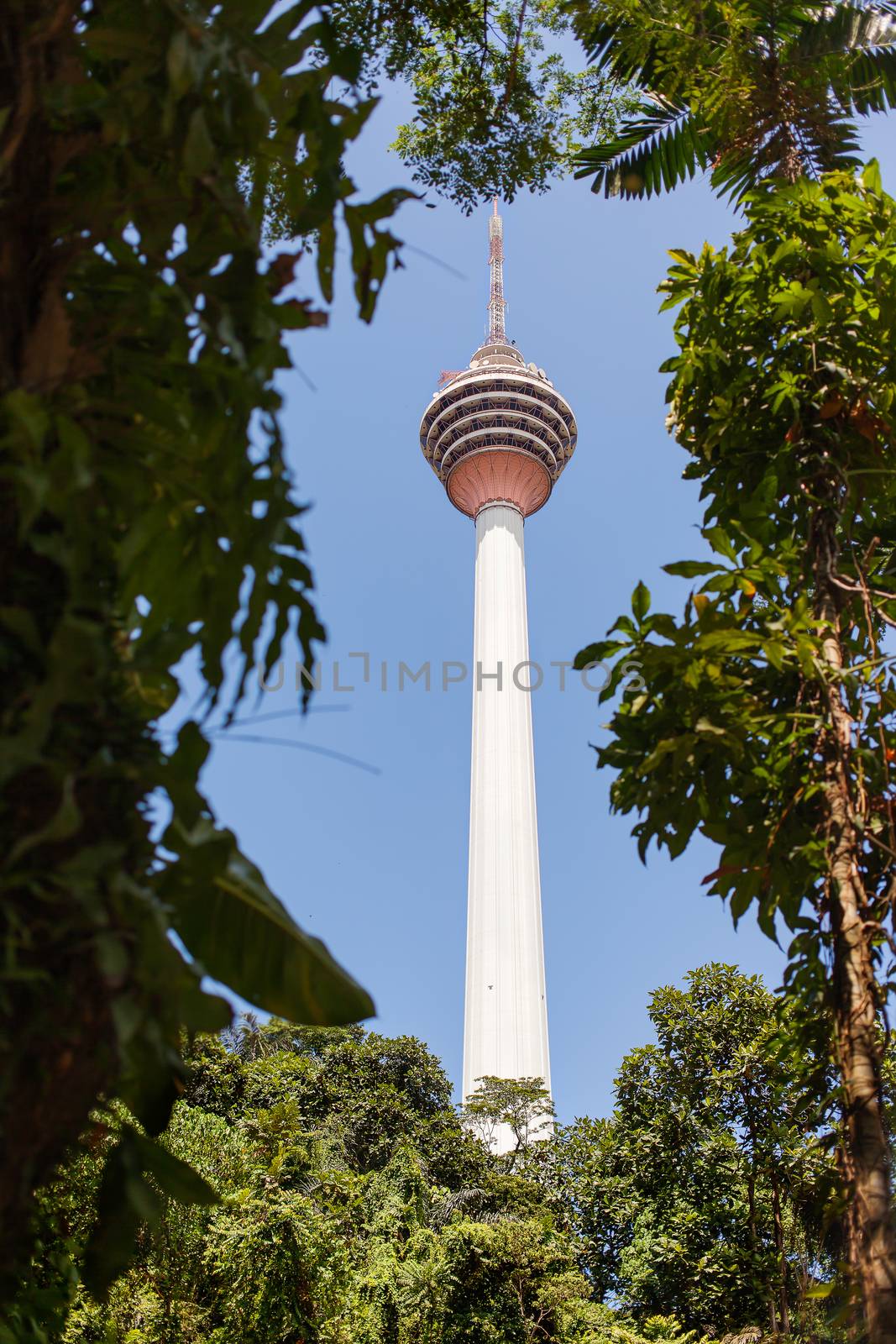 The Kuala Lumpur Tower (Menara Kuala Lumpur). View from green leaves. Kuala Lumpur, Malaysia.