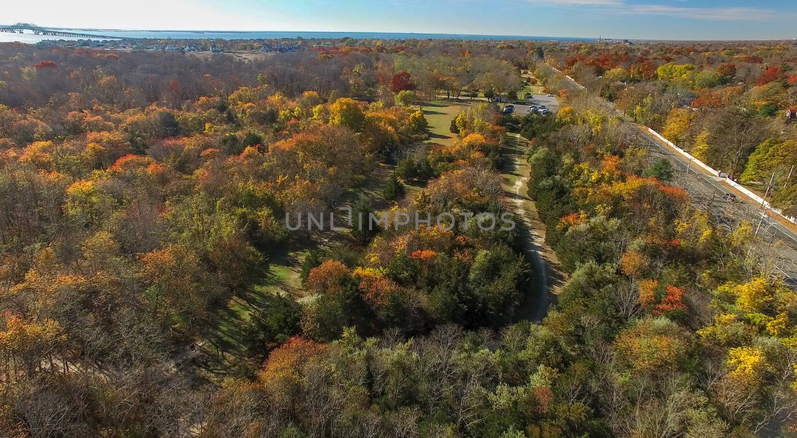 Aerial View of Autumn Trees and Foliage on Long Island as Seen by a Drone on a Sunny Day