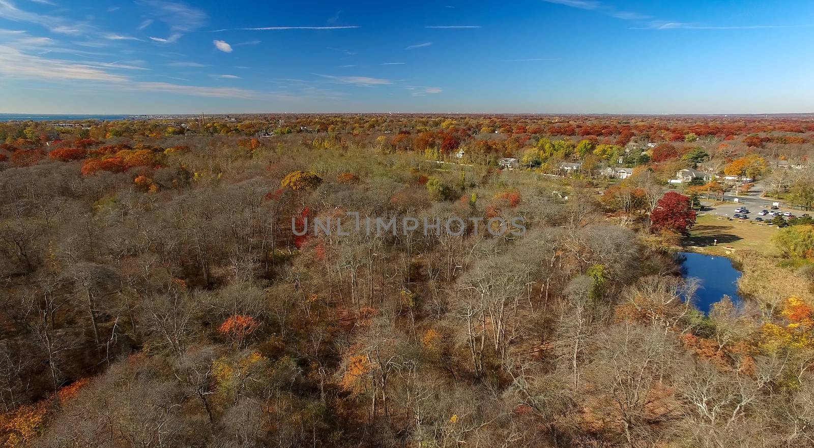 Aerial View of Autumn Trees and Foliage on Long Island as Seen by a Drone on a Sunny Day