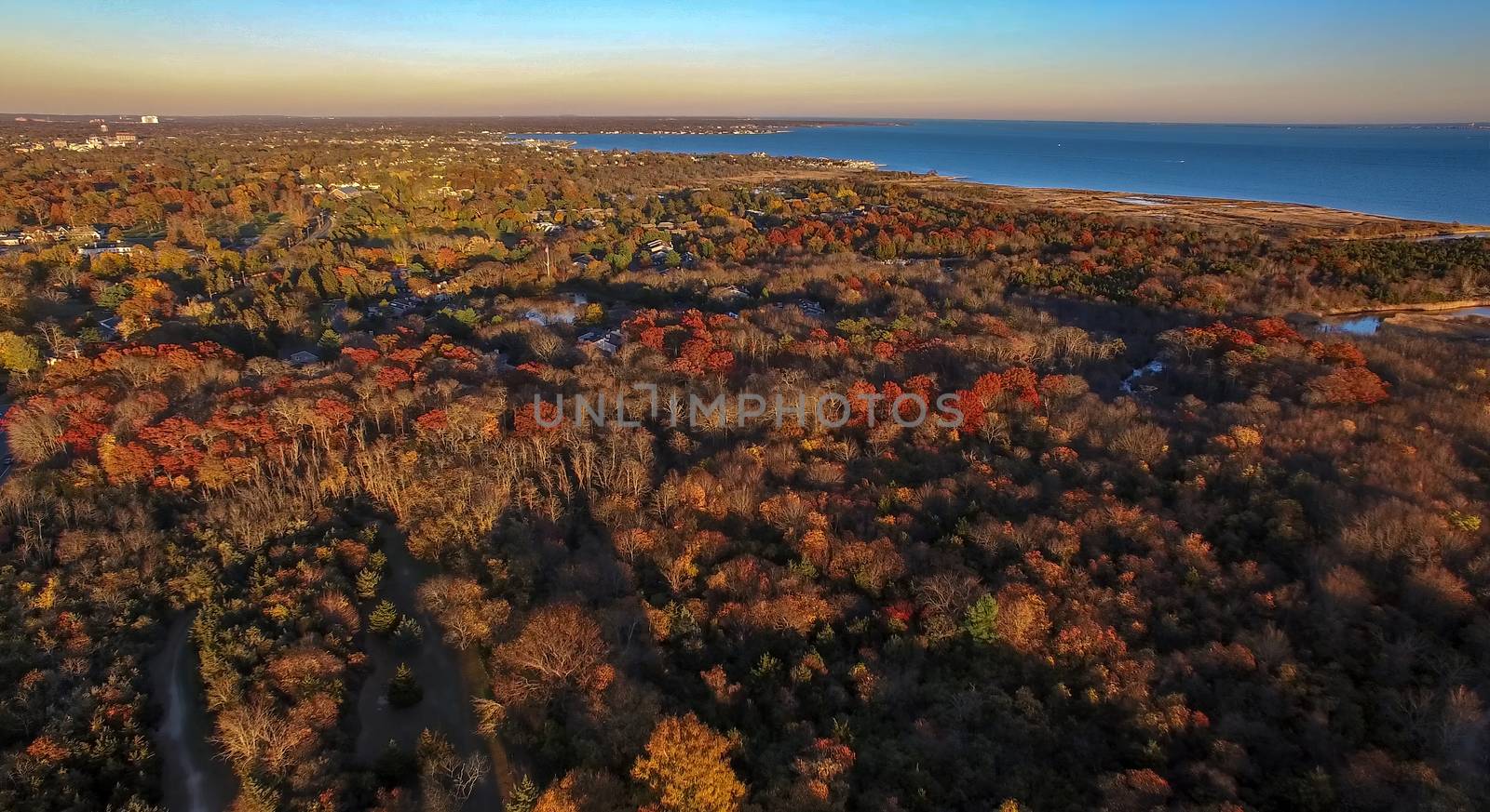 Aerial View of Autumn Trees and Foliage on Long Island as Seen by a Drone on a Sunny Day