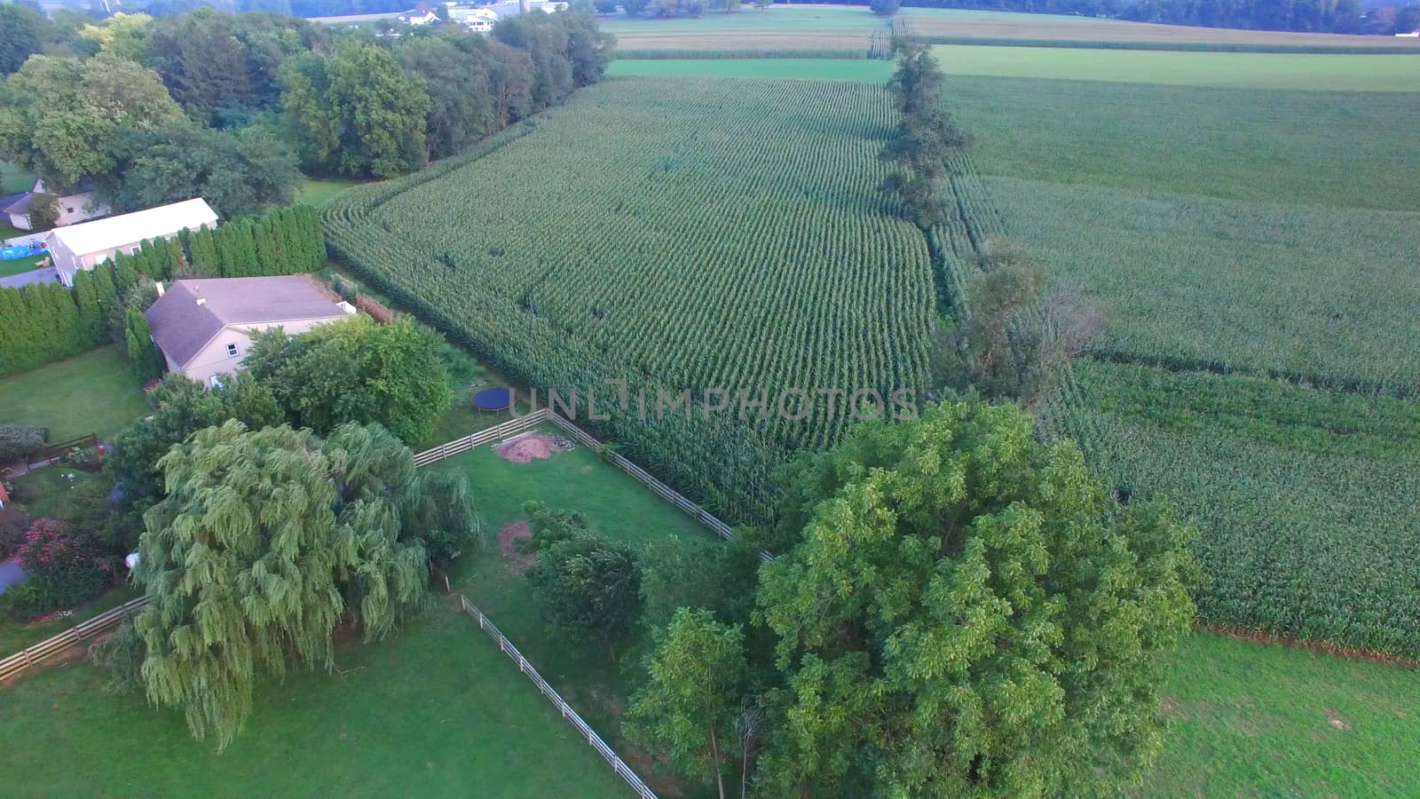 Aerial View of Amish Farm Countryside in Autumn from a Drone