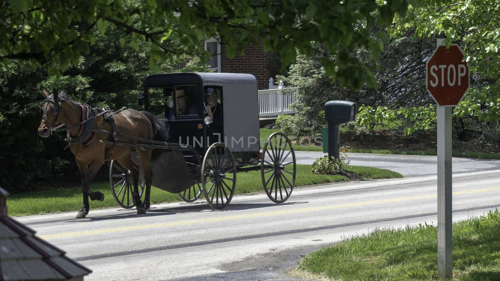 Gordonville, Pennsylvania, July 2019 - Amish Horse and Buggy Traveling on a Residential Road on a Summer Day