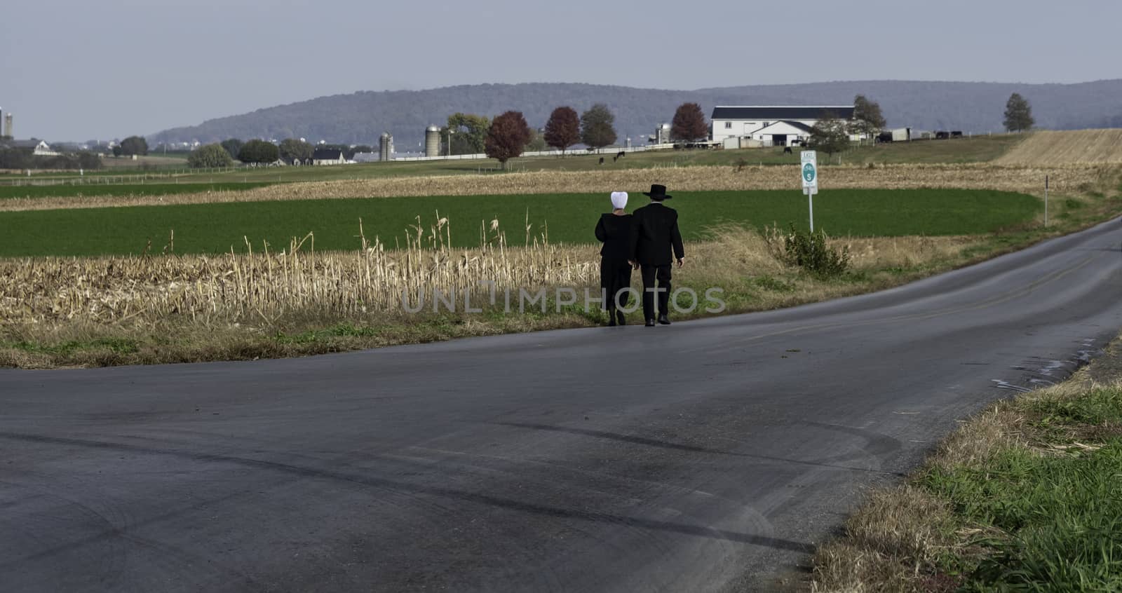 Amish Couple Walking on a Residential Road on a Summer Day