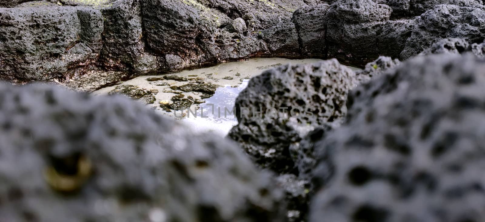 Macro shot of volcanic black rock on the beach in jeju island, south korea by mshivangi92