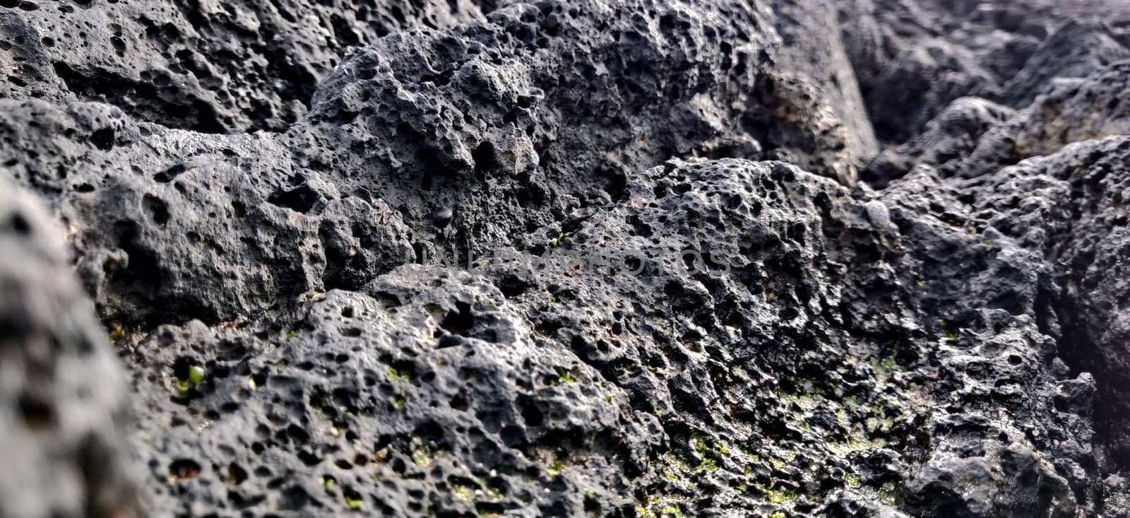 Macro shot of volcanic black rock on the hyeopjae beach while on vacation in jeju island, south korea