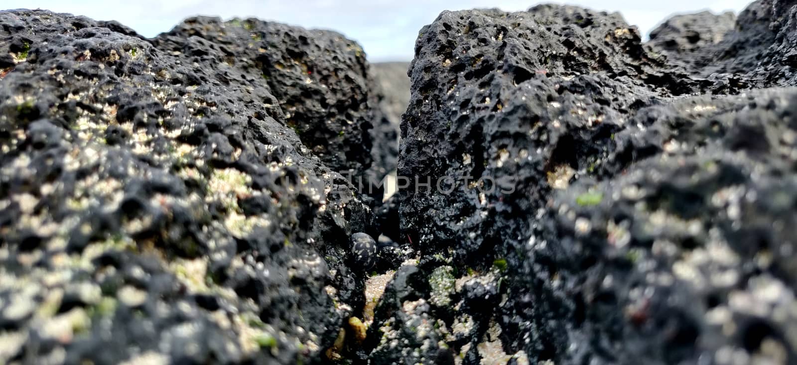 Macro shot of volcanic black rock looking like mountain on the hyeopjae beach while in vacation in jeju island, south korea