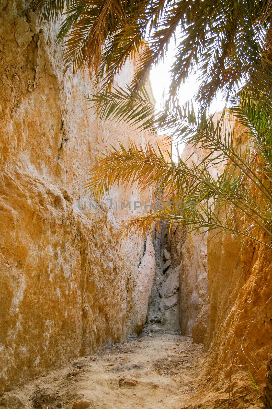 Rocks of oasis Chebika, famous landmark in Sahara desert. Tunisia.