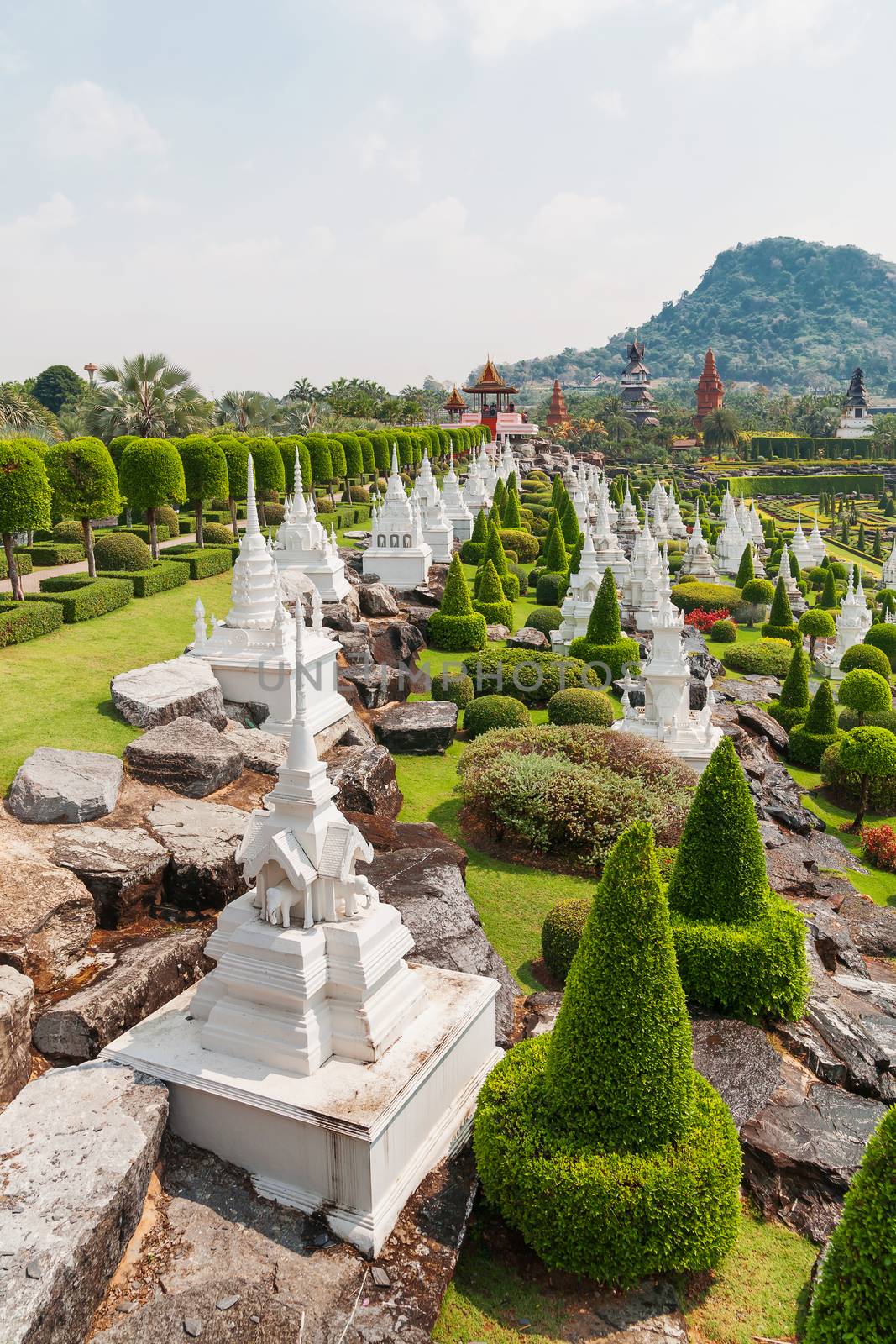 Nong Nooch Tropical Garden in Pattaya, Thailand. Landscape view of formal garden. by aksenovko