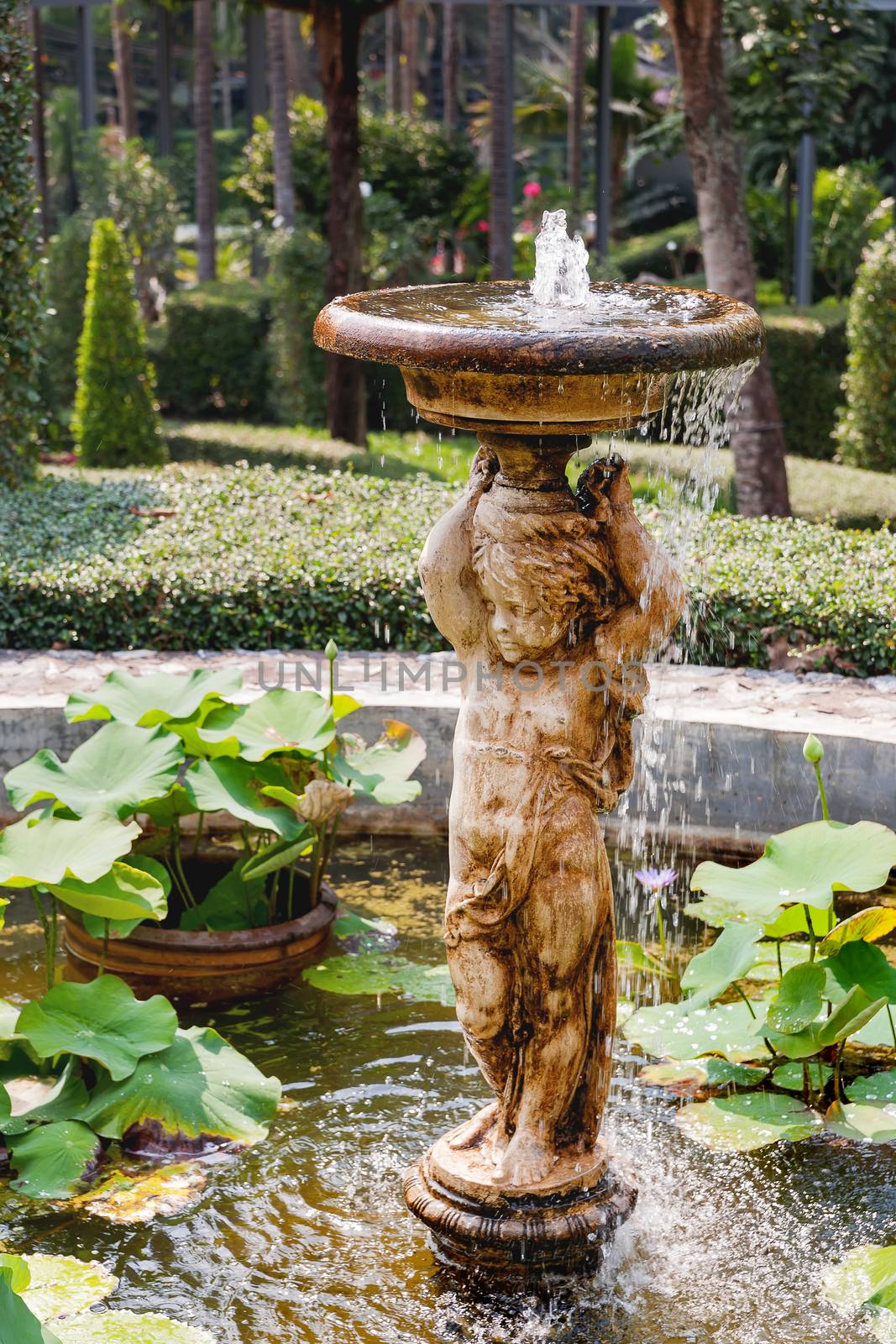 Nong Nooch Tropical Garden in Pattaya, Thailand. Fountain with sculpture of angel (Cupid) and lotus leaves.