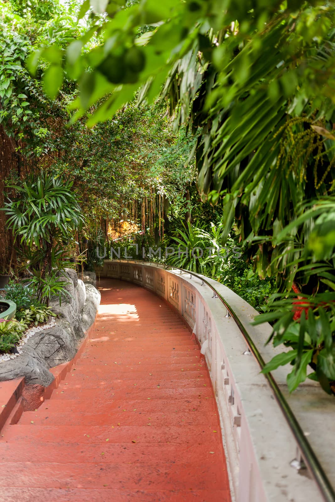 Staircase among forest to the top of Wat Saket (the Golden Mount). Bangkok, Thailand.