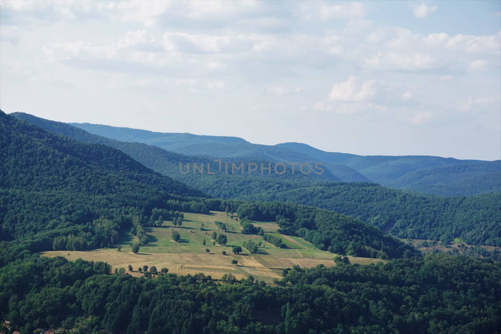 View over fields in the hilly terrain of Palatinate forest by pisces2386