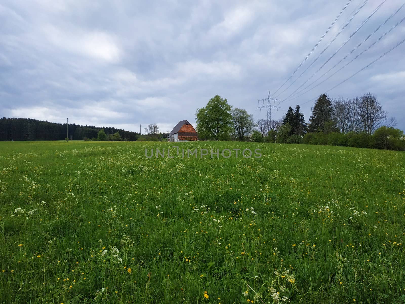 A meadow near the village of Schoemberg on a rainy day