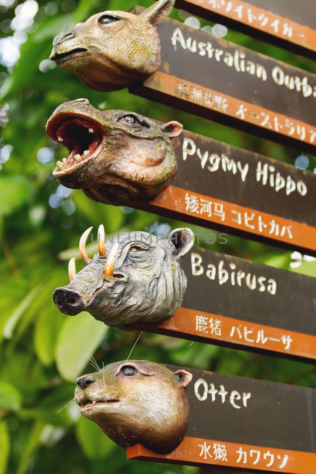 Interesting signs to the enclosures. Pointers with animal's heads. Singapore zoo. by aksenovko