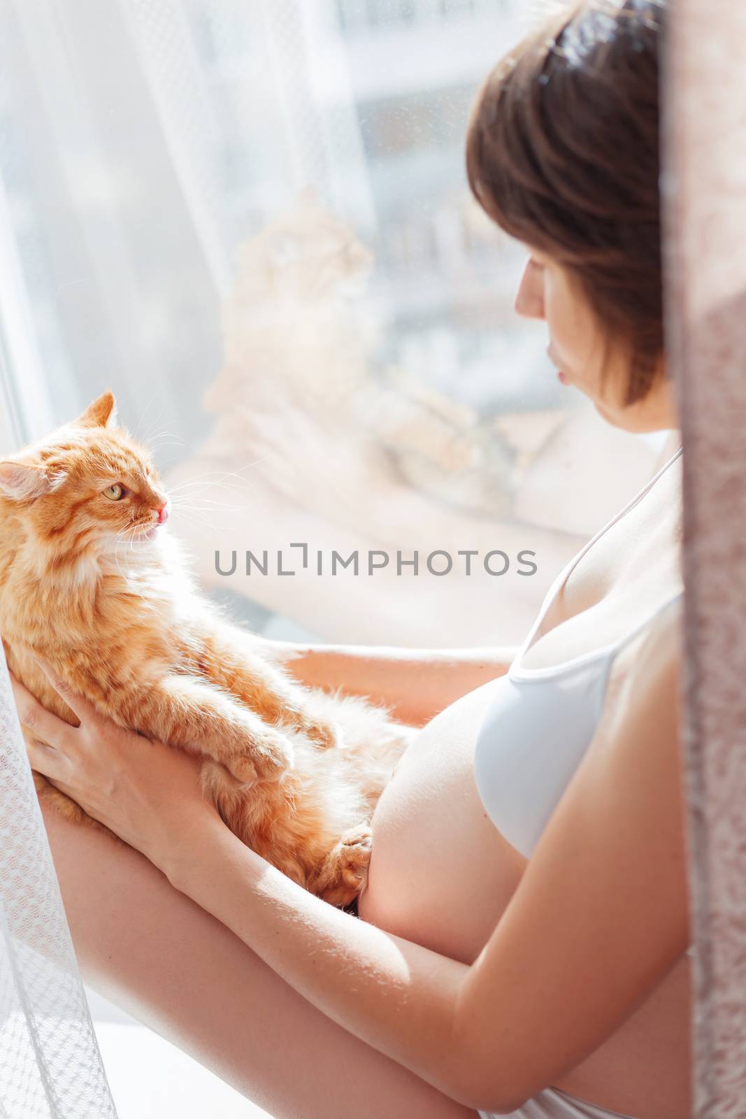 Pregnant woman in white underwear with cute ginger cat. Young wo by aksenovko