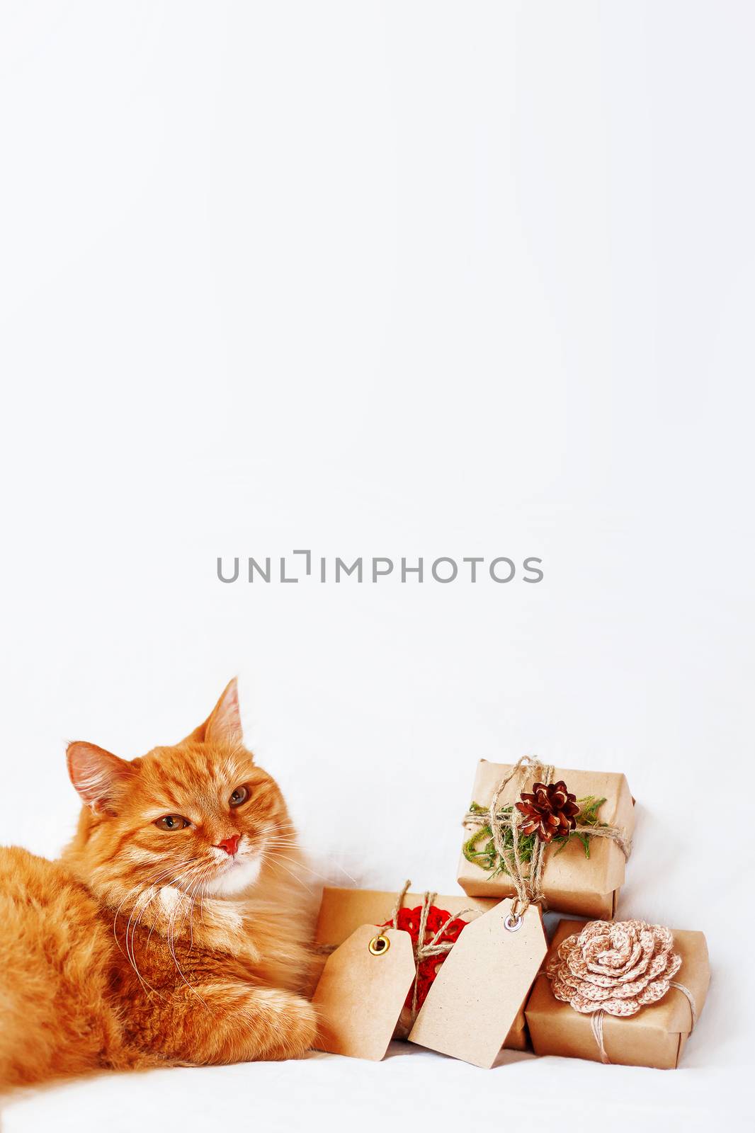 Cute ginger cat with stack of Christmas presents on white background. New Year gifts wrapped in craft paper with copy space tags.