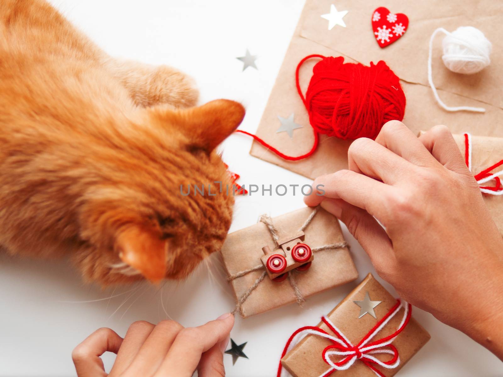Woman wrapping DIY presents in craft paper. Gifts tied with white and red threads with toy train as decoration. Cute ginger cat shiffing it.