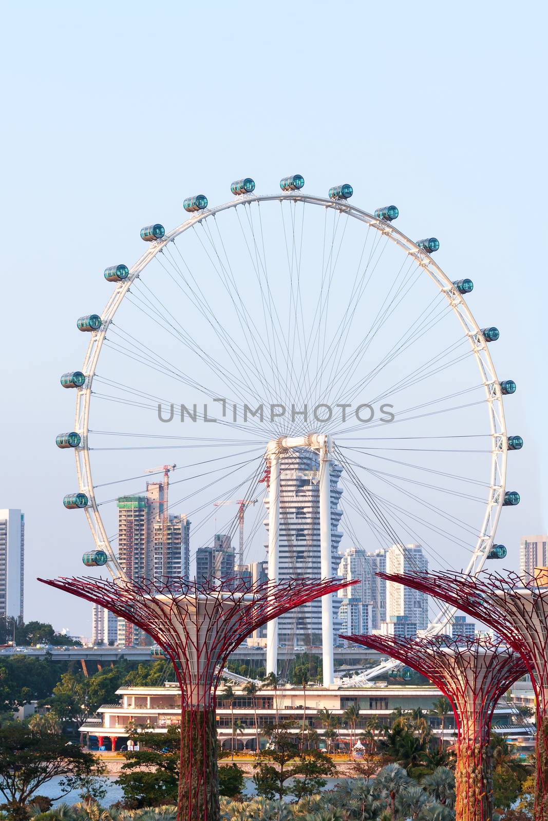 Attraction for tourists - Big observation wheel near Gardens at the Bay. Singapore. by aksenovko