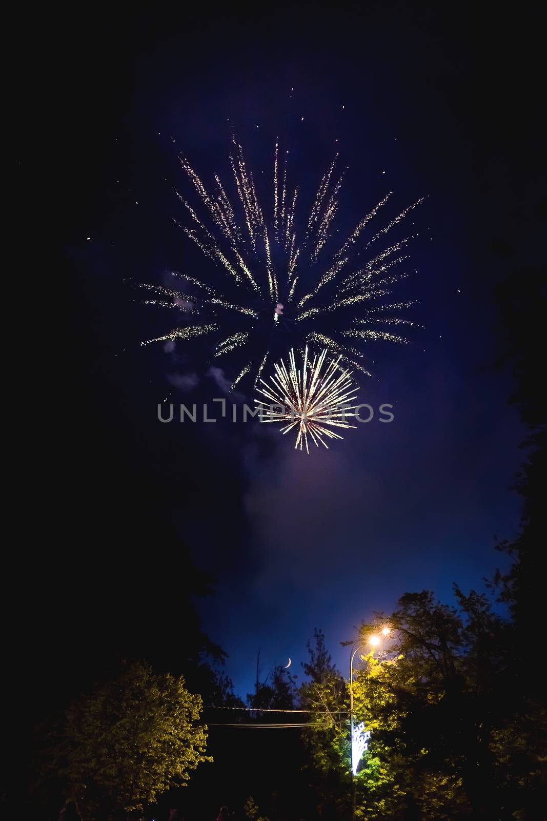 Fireworks in night sky. Victory day, May 9, 2016. Russia.