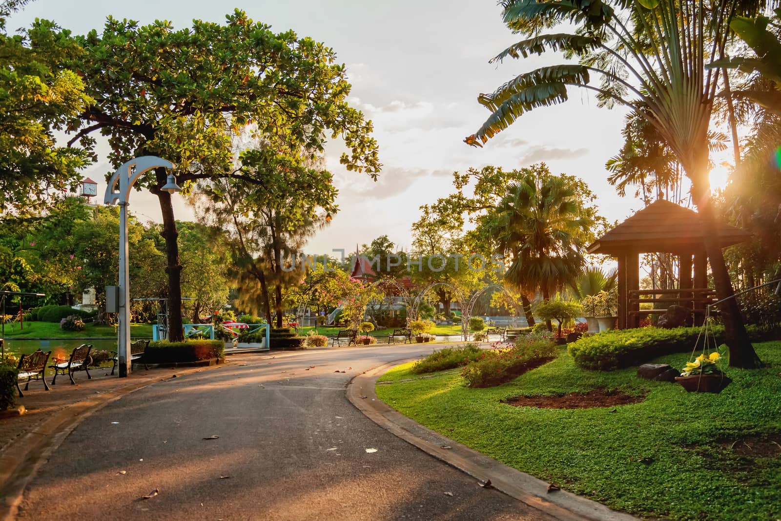 Ornamental plants and trees in the garden. Palmtrees, flowers and wooden pavilions. Bangkok, Thailand.