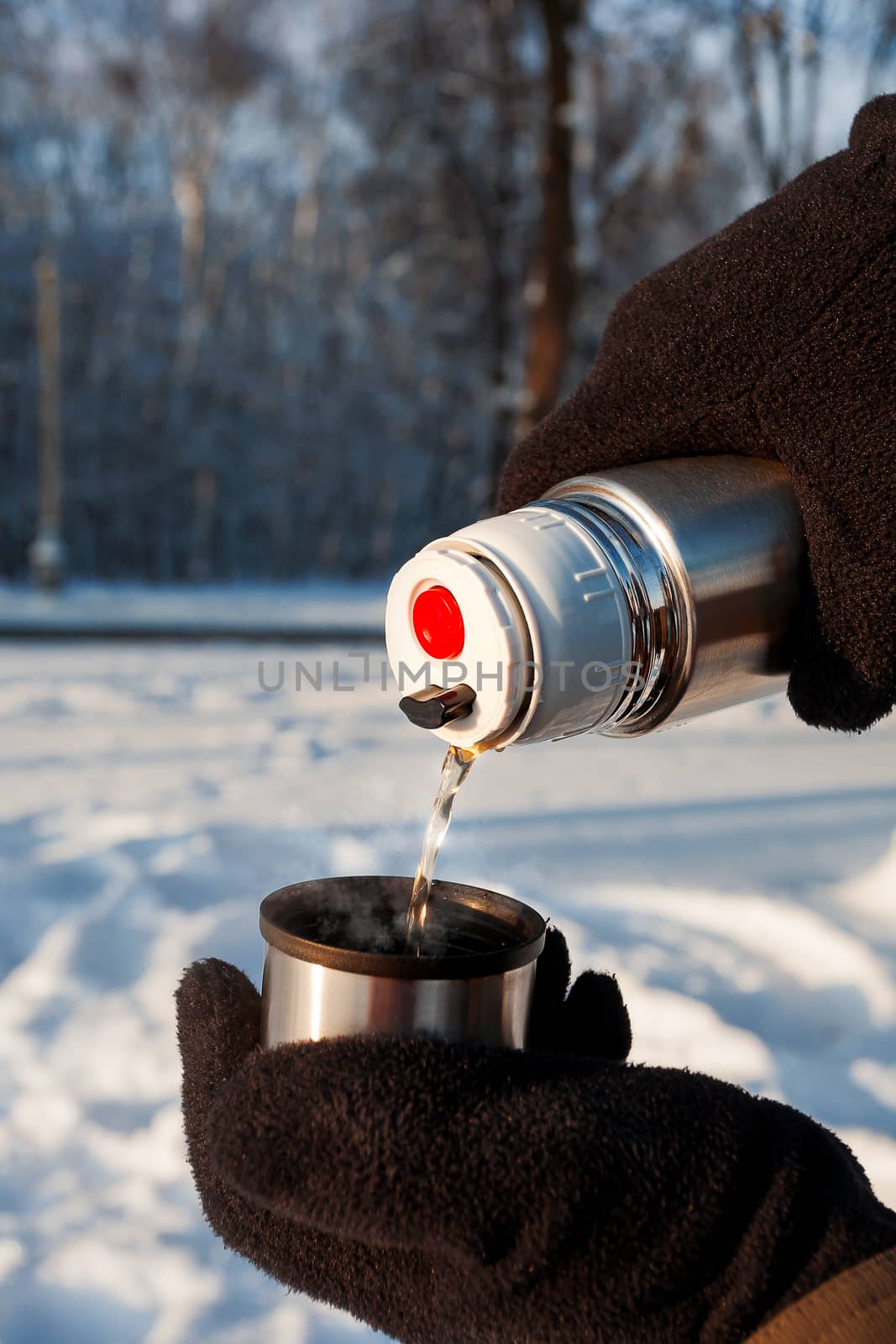 A man pours hot tea from a thermos. Winter forest in sunny day. by aksenovko