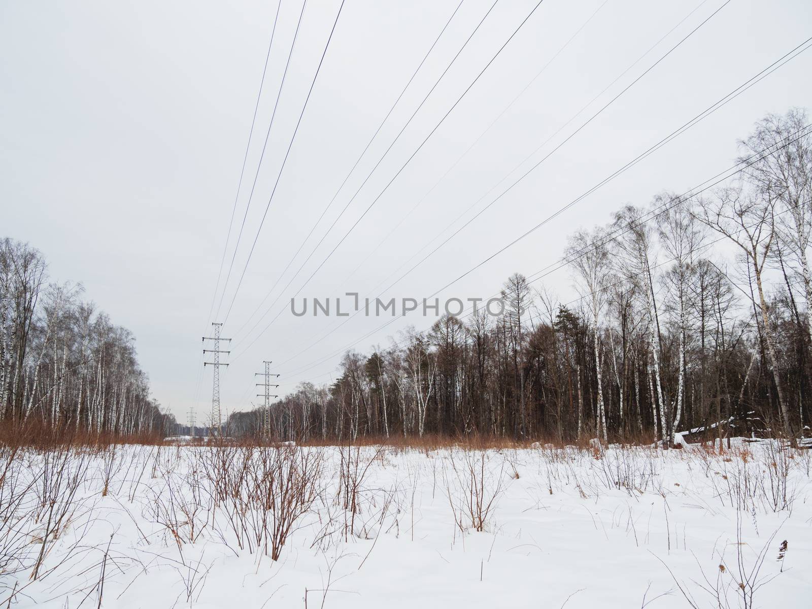 Power line towers in Losiny Ostrov National Park. Elk Moose Island in Moscow, Russia. Winter or early spring landscape.