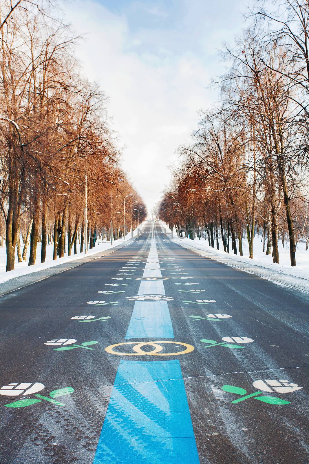 Alley of newlyweds. Avenue in Victory Park. Winter sunny day. Moscow, Russia. by aksenovko