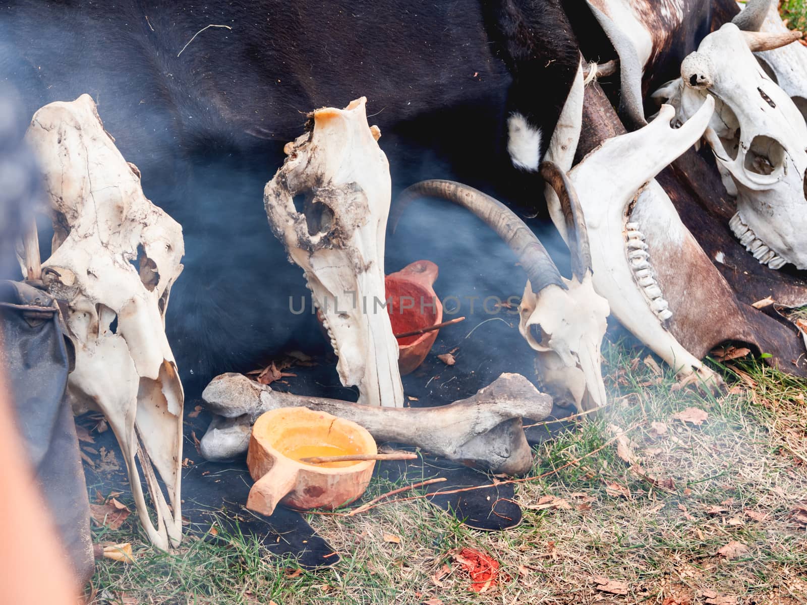 Dried animal skulls near the primitive house as in ancient times. Annual festival Times and Epochs. Historical reconstruction of the Paleolithic, Mesolithic, Neolithic periods. Moscow, Russia.