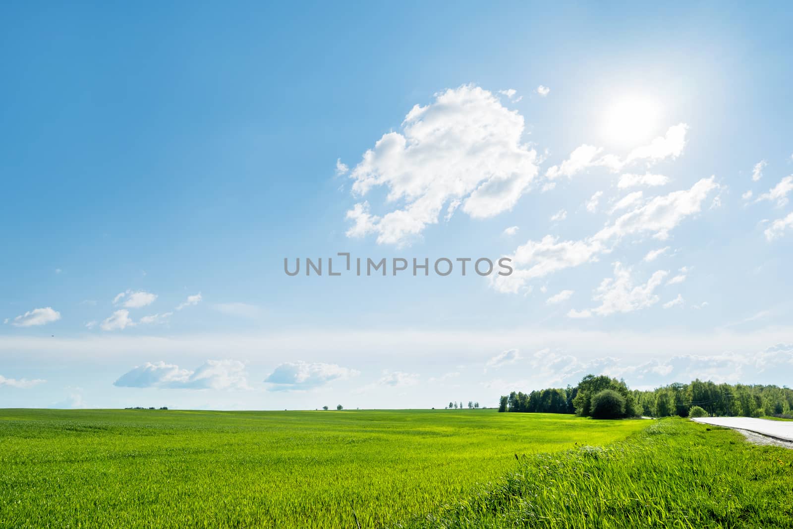 Countryside field natural background. Green grass and blue sky. Cloudscape in sunny day. Russia.