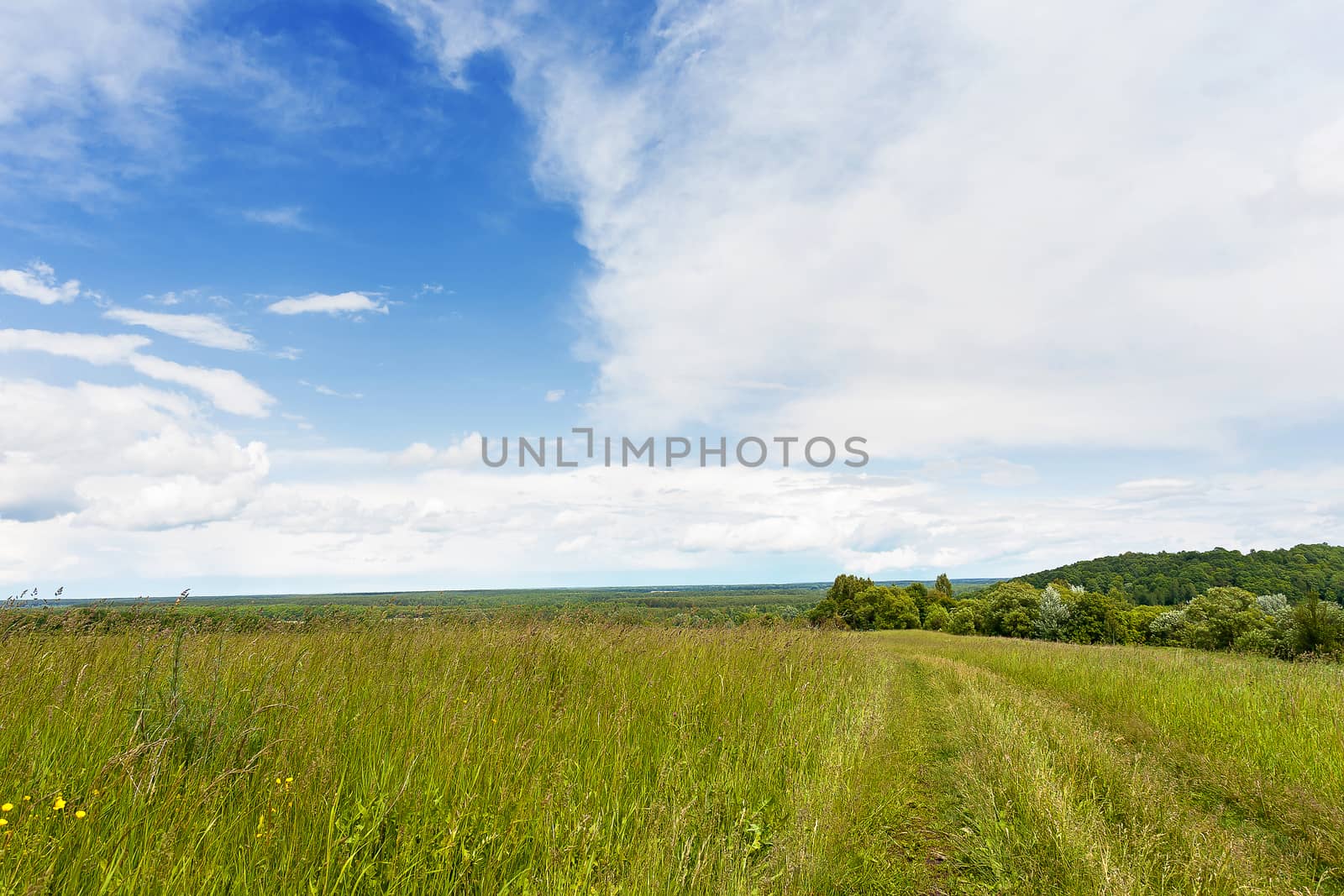 Abstract natural background. Rural path winds along the field. Cloudscape in sunny day. Russia.